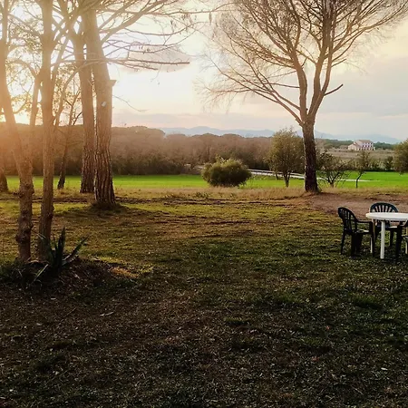 Pins Costabravasi * Llagostera